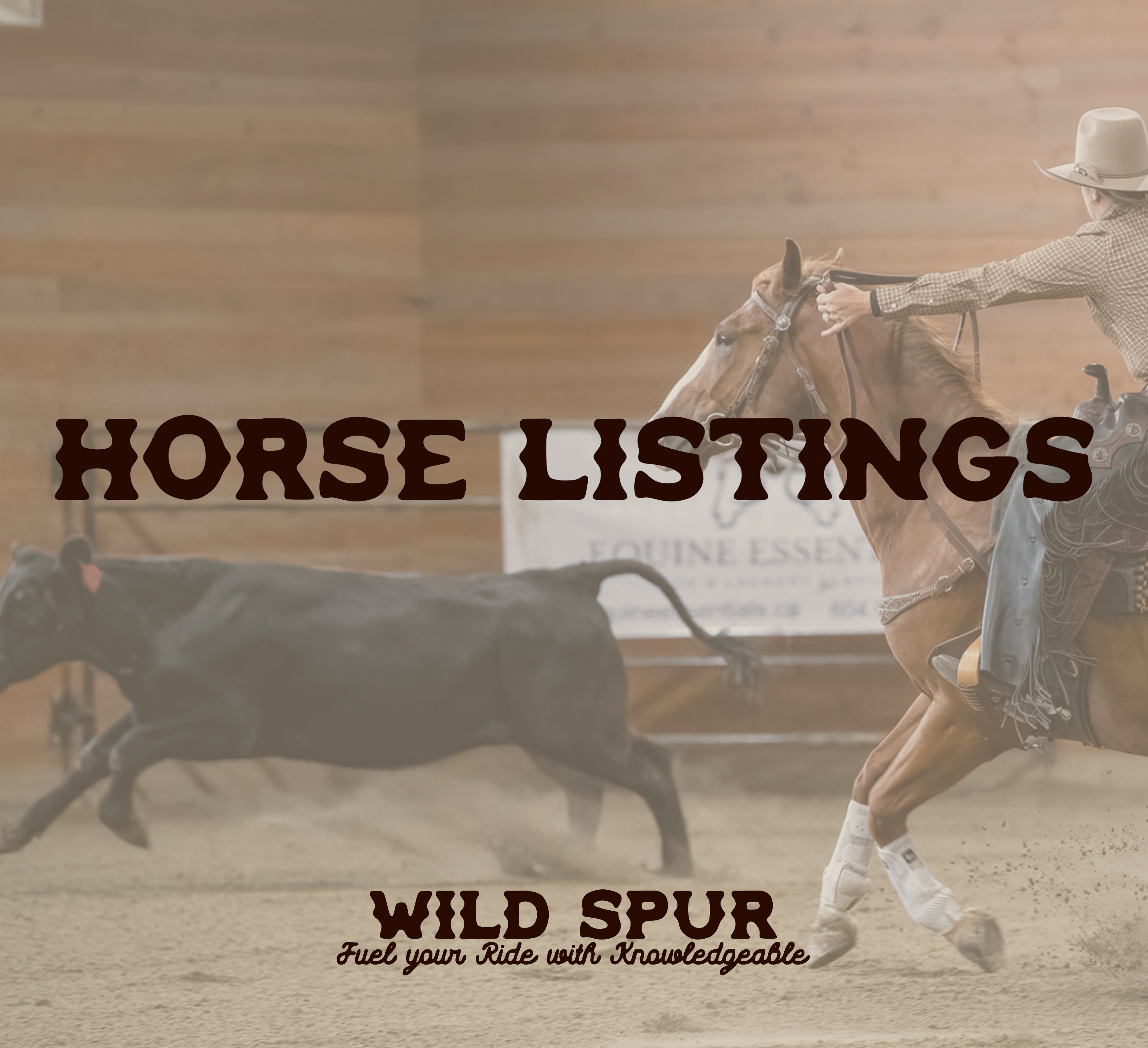 Horse Listings