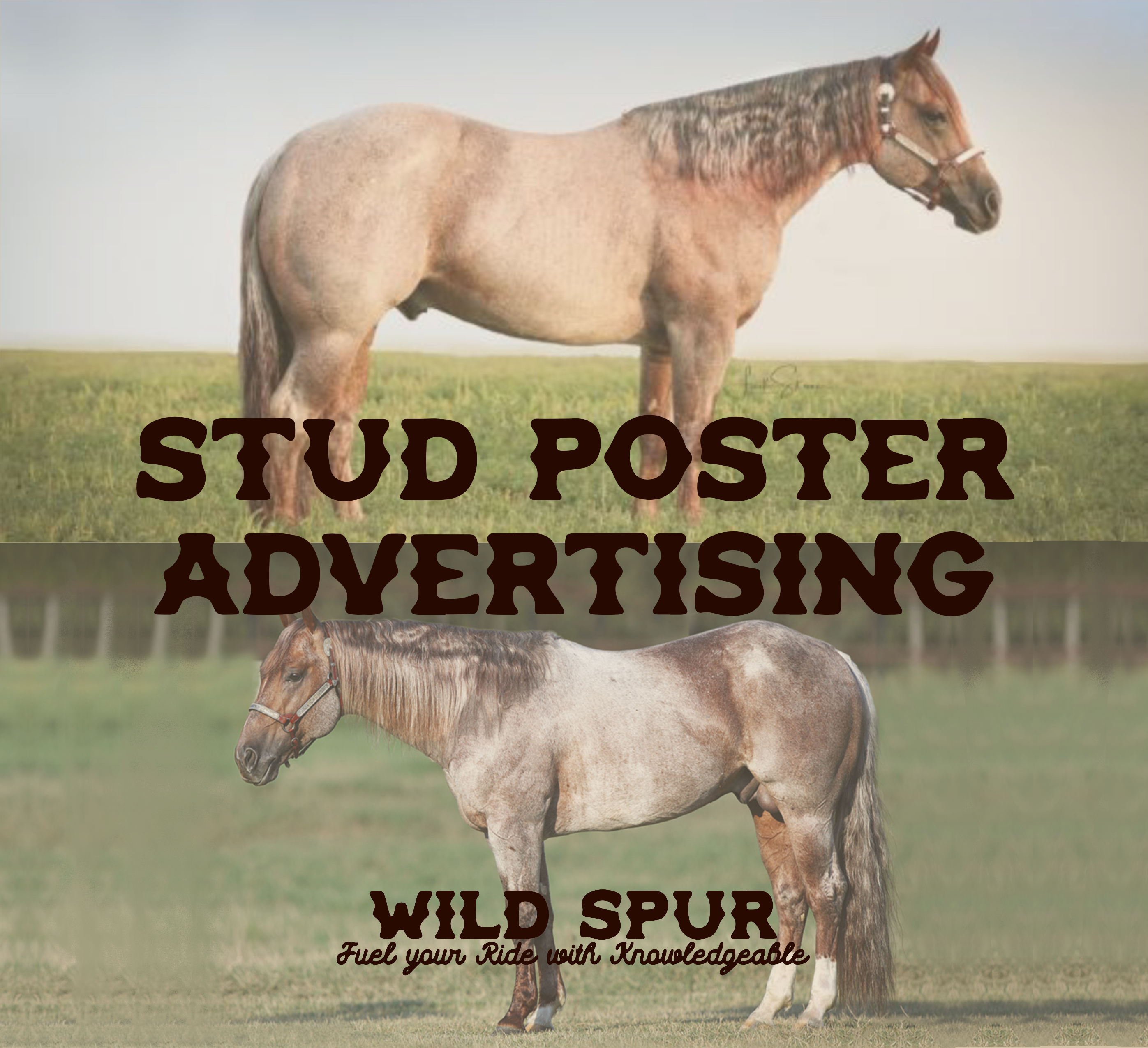 Stud Poster Advertising